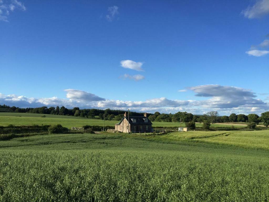 Blackhill Farm Cottage Perth Exterior foto